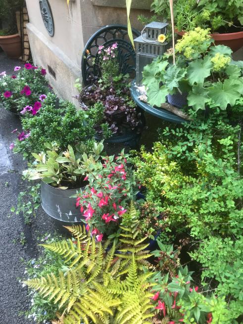 Albyn Townhouse, Edinburgh